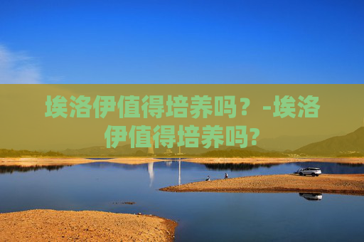 埃洛伊值得培养吗？-埃洛伊值得培养吗?