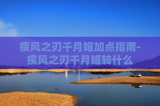 疾风之刃千月姬加点指南-疾风之刃千月姬转什么