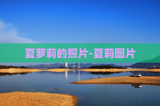 夏萝莉的照片-夏莉图片