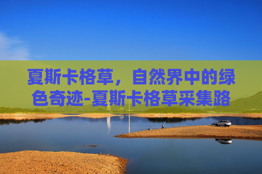 夏斯卡格草，自然界中的绿色奇迹-夏斯卡格草采集路线