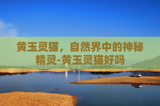 黄玉灵猫，自然界中的神秘精灵-黄玉灵猫好吗