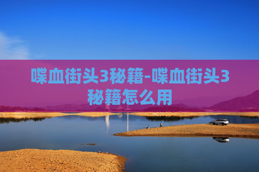 喋血街头3秘籍-喋血街头3秘籍怎么用