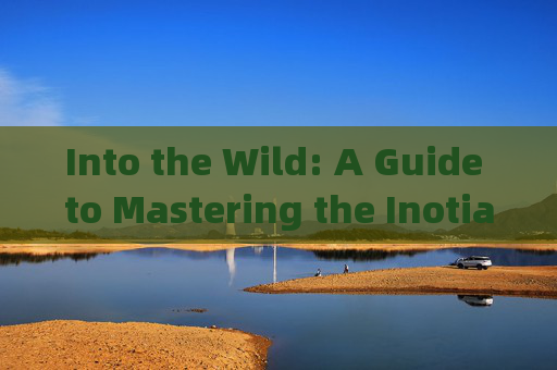 Into the Wild: A Guide to Mastering the Inotia3 Game-Inotia3攻略