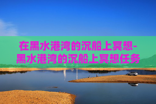在黑水港湾的沉船上冥想-黑水港湾的沉船上冥想任务 在黑水港湾的沉船上冥想-黑水港湾的沉船上冥想任务