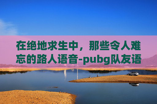 在绝地求生中，那些令人难忘的路人语音-pubg队友语音