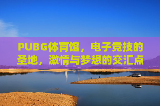 PUBG体育馆，电子竞技的圣地，激情与梦想的交汇点-PUBG体验服官网入口