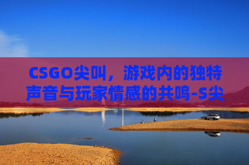 CSGO尖叫，游戏内的独特声音与玩家情感的共鸣-S尖叫