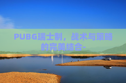 PUBG瑞士制，战术与策略的完美结合-