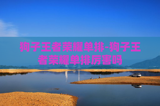 狗子王者荣耀单排-狗子王者荣耀单排厉害吗