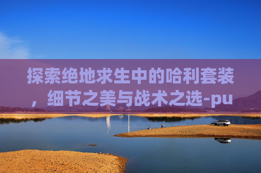探索绝地求生中的哈利套装，细节之美与战术之选-pubg哈莉奎茵cdk