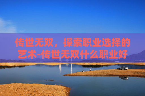 传世无双，探索职业选择的艺术-传世无双什么职业好打
