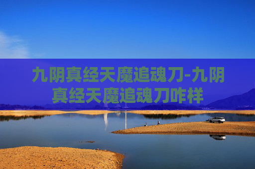 九阴真经天魔追魂刀-九阴真经天魔追魂刀咋样