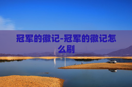 冠军的徽记-冠军的徽记怎么刷