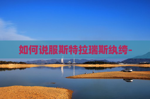 如何说服斯特拉瑞斯纨绔-