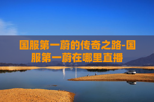 国服第一蔚的传奇之路-国服第一蔚在哪里直播