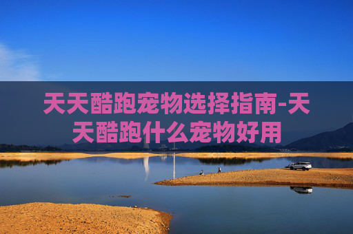 天天酷跑宠物选择指南-天天酷跑什么宠物好用
