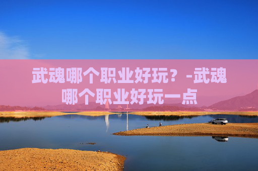 武魂哪个职业好玩？-武魂哪个职业好玩一点