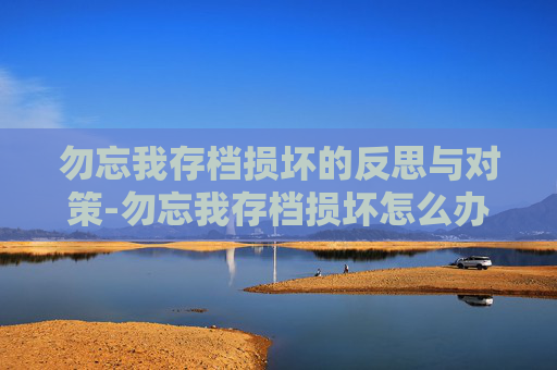 勿忘我存档损坏的反思与对策-勿忘我存档损坏怎么办
