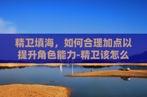 精卫填海，如何合理加点以提升角色能力-精卫该怎么加点字