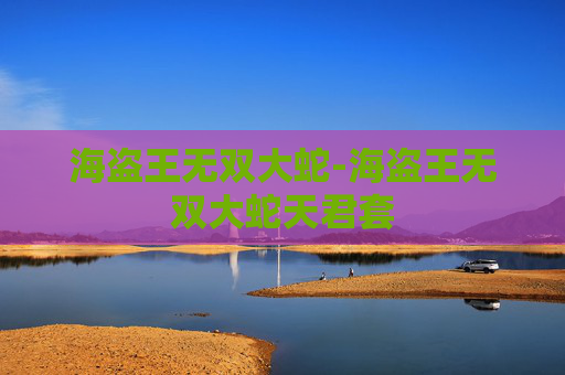 海盗王无双大蛇-海盗王无双大蛇天君套