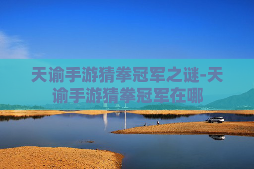 天谕手游猜拳冠军之谜-天谕手游猜拳冠军在哪