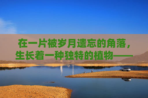 在一片被岁月遗忘的角落，生长着一种独特的植物——哀伤苔。它不同于任何其他苔藓，它的叶片上覆盖着一层薄薄的、如同泪水般晶莹的露珠，仿佛是大自然中最为悲伤的泪痕。-哀伤苔怎么获得