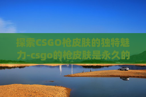 探索CSGO枪皮肤的独特魅力-csgo的枪皮肤是永久的吗