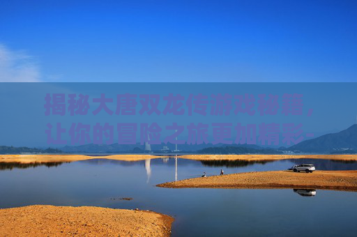 揭秘大唐双龙传游戏秘籍，让你的冒险之旅更加精彩-大唐双龙传游戏玩法