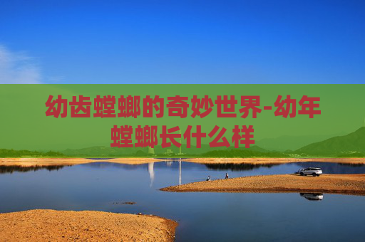幼齿螳螂的奇妙世界-幼年螳螂长什么样