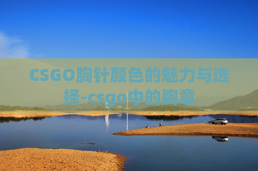 CSGO胸针颜色的魅力与选择-csgo中的胸章