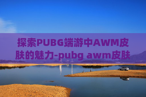 探索PUBG端游中AWM皮肤的魅力-pubg awm皮肤
