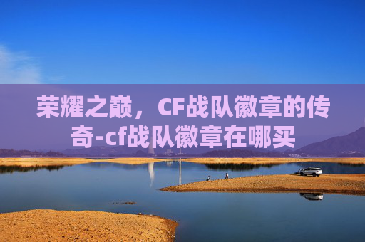 荣耀之巅，CF战队徽章的传奇-cf战队徽章在哪买
