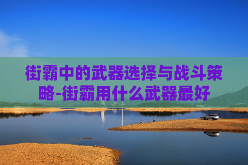 街霸中的武器选择与战斗策略-街霸用什么武器最好 街霸中的武器选择与战斗策略-街霸用什么武器最好