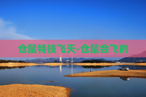 仓鼠特技飞天-仓鼠会飞的
