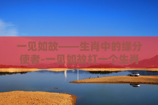 一见如故——生肖中的缘分使者-一见如故打一个生肖动物