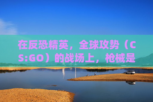 在反恐精英，全球攻势（CS:GO）的战场上，枪械是战士们手中的利剑，也是他们战斗策略的核心。每一款枪械都有其独特的特性和用途，它们如同战场上的久经沙场的老兵，见证了无数生死较量。-csgo里久经沙场的枪是什么枪