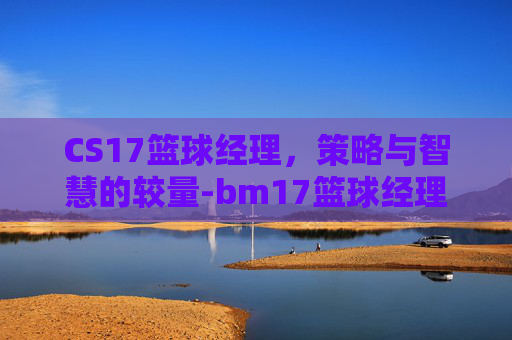 CS17篮球经理，策略与智慧的较量-bm17篮球经理汉化版