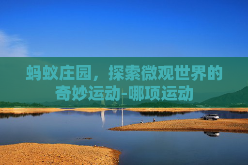 蚂蚁庄园，探索微观世界的奇妙运动-哪项运动
