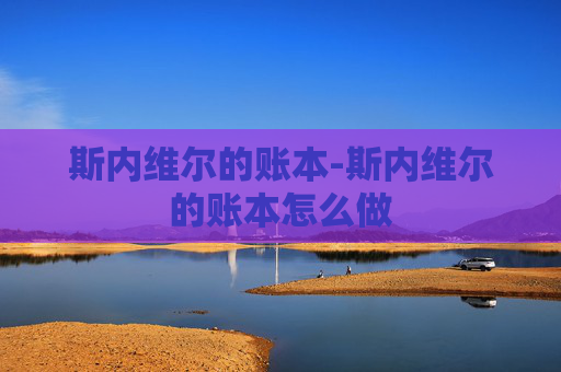 斯内维尔的账本-斯内维尔的账本怎么做 斯内维尔的账本-斯内维尔的账本怎么做
