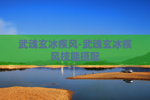 武魂玄冰疾风-武魂玄冰疾风技能搭配