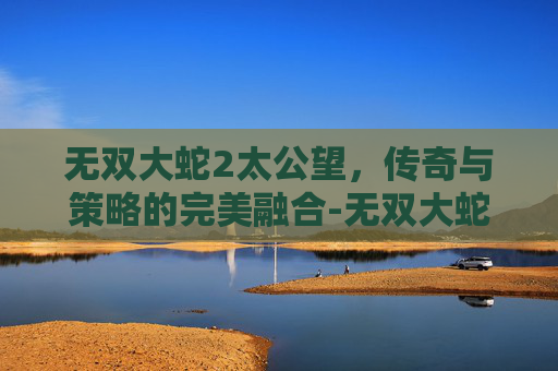 无双大蛇2太公望，传奇与策略的完美融合-无双大蛇太公望厉害吗