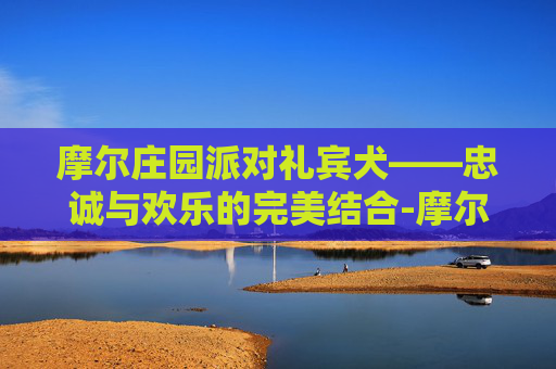 摩尔庄园派对礼宾犬——忠诚与欢乐的完美结合-摩尔庄园派对礼宾犬配对