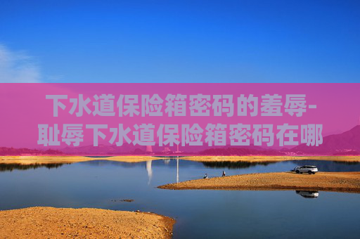 下水道保险箱密码的羞辱-耻辱下水道保险箱密码在哪