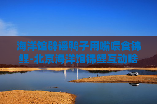 海洋馆辟谣鸭子用嘴喂食锦鲤-北京海洋馆锦鲤互动啥意思