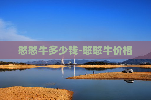 憨憨牛多少钱-憨憨牛价格