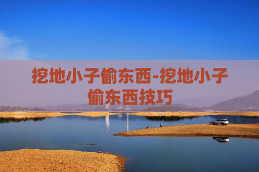 挖地小子偷东西-挖地小子偷东西技巧