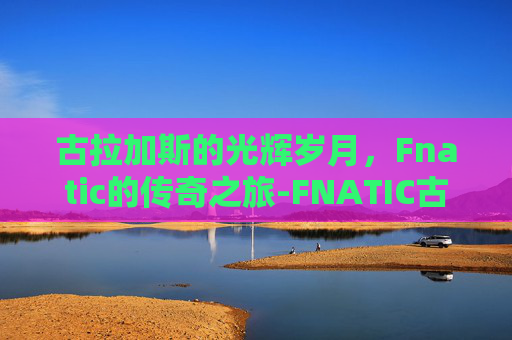 古拉加斯的光辉岁月，Fnatic的传奇之旅-FNATIC古拉加斯多少钱