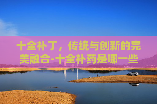 十全补丁，传统与创新的完美融合-十全补药是哪一些