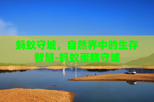 蚂蚁守城，自然界中的生存智慧-蚂蚁蛋糕守城