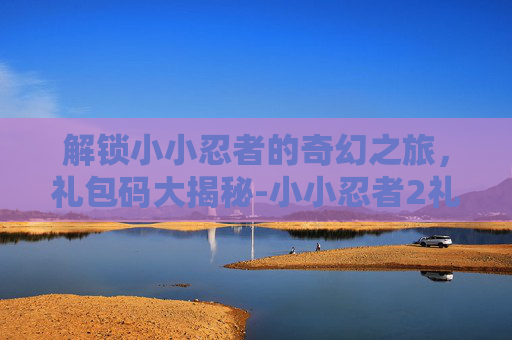 解锁小小忍者的奇幻之旅,礼包码大揭秘-小小忍者2礼包 解锁小小忍者的奇幻之旅,礼包码大揭秘-小小忍者2礼包